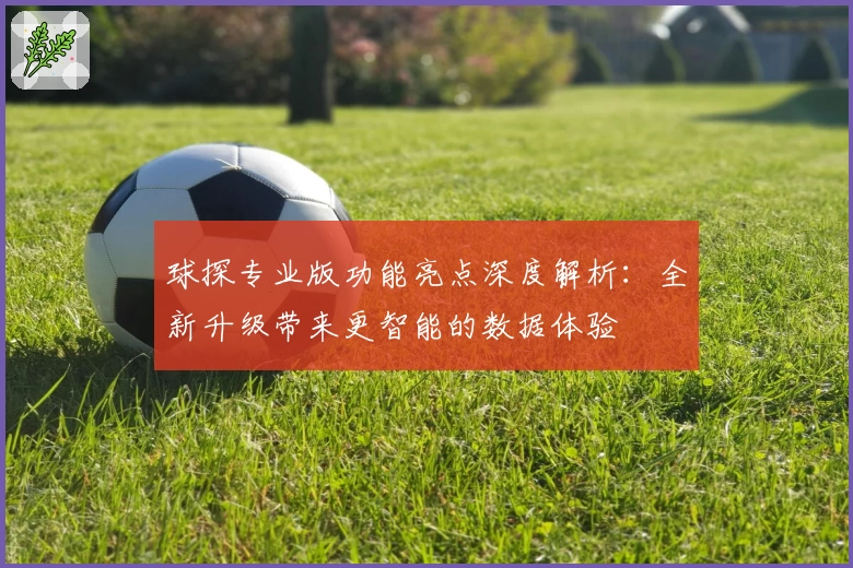 球探专业版功能亮点深度解析：全新升级带来更智能的数据体验