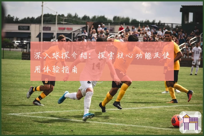 深入球探介绍：探索核心功能及使用体验指南