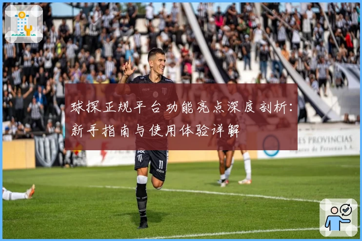 球探正规平台功能亮点深度剖析：新手指南与使用体验详解