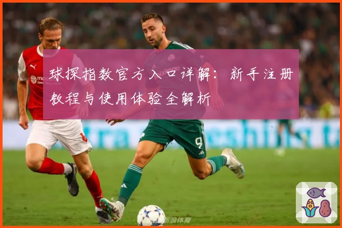 球探指数官方入口详解：新手注册教程与使用体验全解析