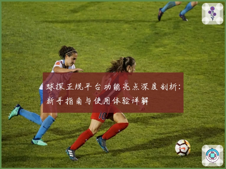 球探正规平台功能亮点深度剖析:新手指南与使用体验详解